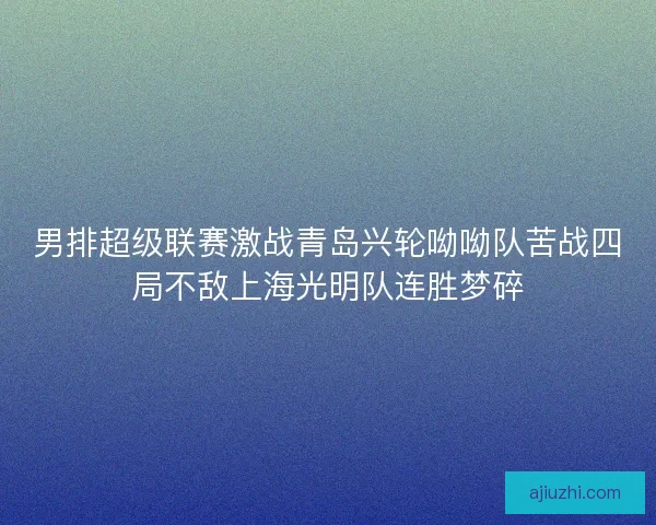 男排超级联赛激战青岛兴轮呦呦队苦战四局不敌上海光明队连胜梦碎