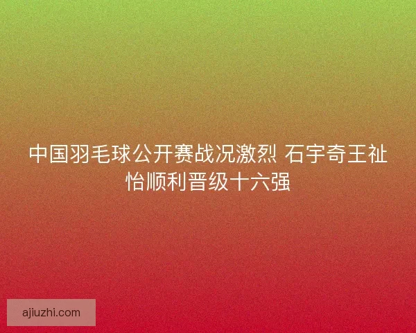 中国羽毛球公开赛战况激烈 石宇奇王祉怡顺利晋级十六强
